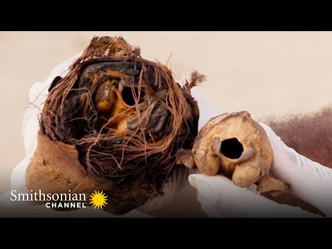 Cat Mummies Were a Big Thing in Ancient Egypt 🐈‍⬛ Tomb Hunters | Smithsonian Channel