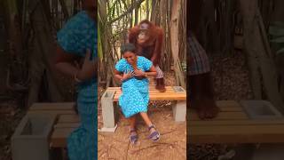 Funny chimpanzee video #shorts 🐒🐒