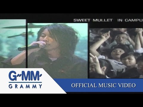 เพลงของคนโง่ - Sweet Mullet【OFFICIAL MV】