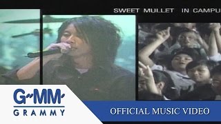 เพลงของคนโง่ - Sweet Mullet【OFFICIAL MV】