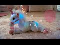 Rainbow Dreams TVC
