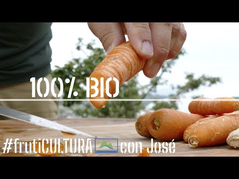 Receta MULTIFRUTAS 🍊🥕🌿 zumo BIO de Naranja, Zanahoria y Jengibre de mi huerto 💚 #LdN #frutiCULTURA