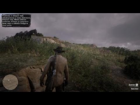 Red Dead Redemption 2 online - prolog
