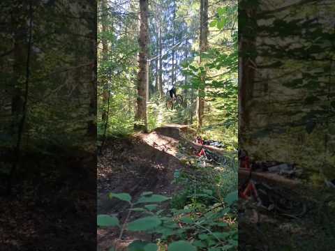 🌲 chambre verte 🌲