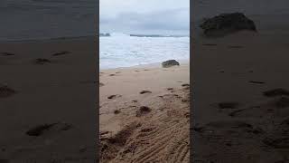 Download lagu Story' WA || ngopi di pantaii mp3 Download lagu Story' WA || ngopi di pantaii mp3