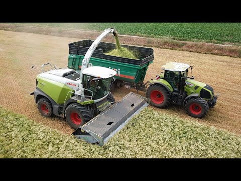 Claas Jaguar 970 | Domai MPD 611 | Trinciatura orzo 2022