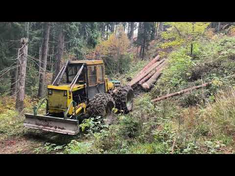 Logging Skidder LKT 81t 