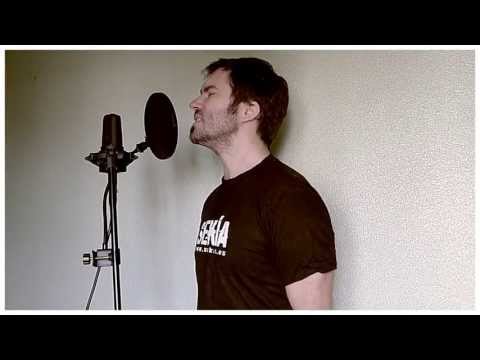 Bad Religion - Medley (cover by Jotun Studio)