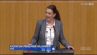 Katayun Pracher-Hilander - Nationaler Aktionsplan gegen Gewalt an Frauen - 26.3.2026