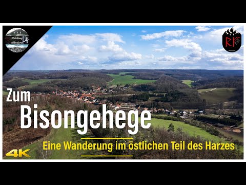 ↟ ↟ Zum Bisongehege | Eine Wanderung im östlichen Teil des Harzes | 4K HDR