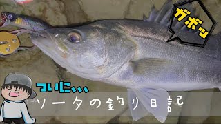 【ソータの釣り日記】ついに、、(泣)