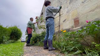 【#11フランスで築フル100年DIY】フランスで薔薇のある生活してみる