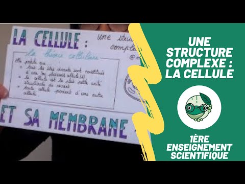 Une structure complexe : la cellule - 1ère enseignement scientifique - Madame SVT