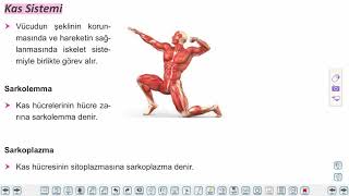 Eğitim Vadisi AYT Biyoloji 3.Föy Destek ve Hareket Sistemi Konu Anlatım Videoları