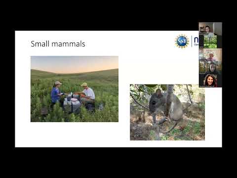 Science Seminar: NEON Mammals Large and Small
