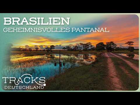 Holiday in nature: Brazil's mysterious water world of the Pantanal | Travel documentary