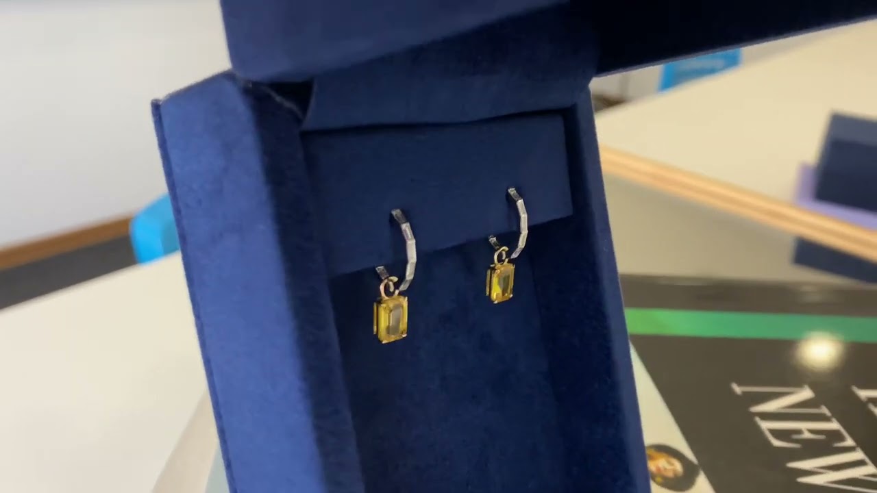 PIERRE Exclusive Earrings