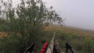 dilley dove hunt