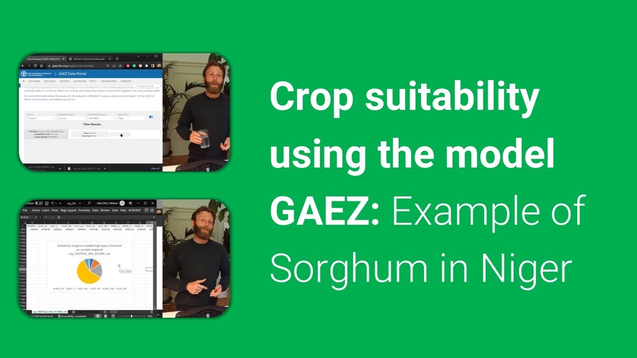 Crop suitability using the model GAEZ: Example of Sorghum in Niger