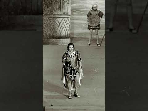 Renato Francesconi - Aida - Se quel guerrier io fossi...Celeste Aida Live