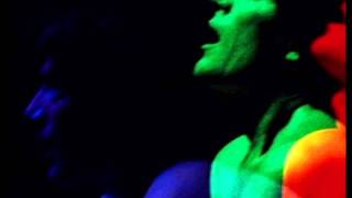 Momus - Trans Siberian Express