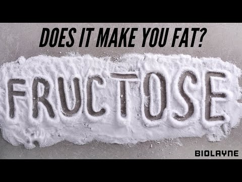 Fructose - Does it make you fat?