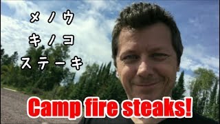目的地パラダイスビーチに到着！綺麗なメノウ、不思議なキノコ、そしてステーキ！Baby Bear'sアドベンチャーEP3】