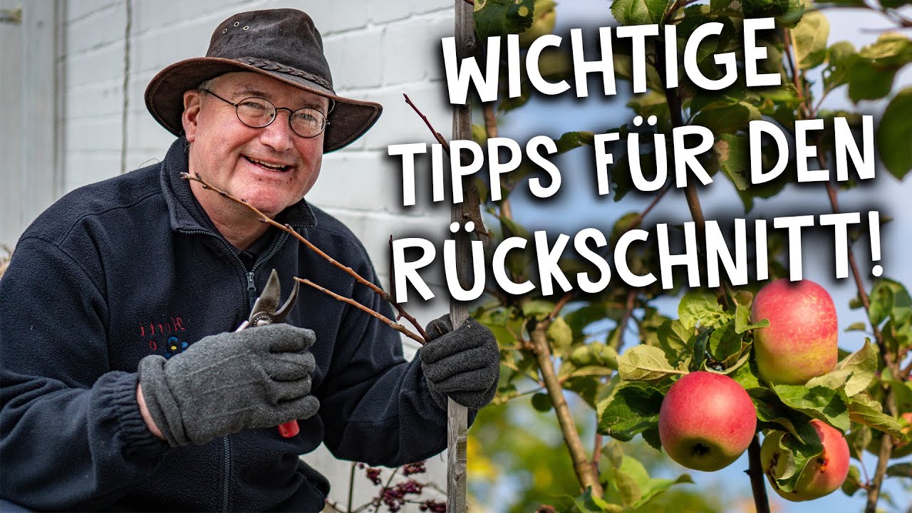 Rückschnitte Video 3