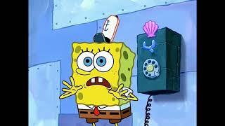 Cover art for NOT THE NAVY!