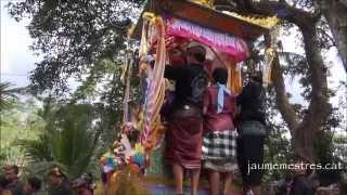 preview picture of video 'Bali Mass Cremation in Sabatu'