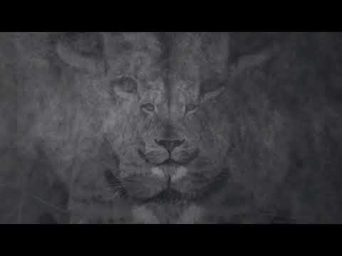 Endriu & Cacek & Żłop - Nie dopuszczę