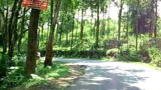 preview picture of video 'TFN_road_in_Waynad_Kerala'