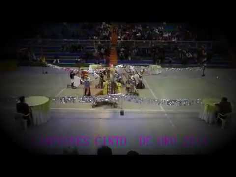 TINKUS CAMPEONES DEL CINTO DE ORO 2014 CHILA JATUN