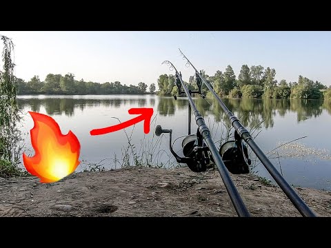 Biss auf Biss beim Karpfen Angeln am Baggersee