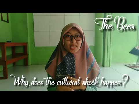 THE BEES ENGLISH COURSE ( Culture Shock 1 )
