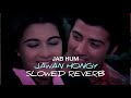 JAB HUM JAWAN HONGY-SLOWED REVERB@filmigaane