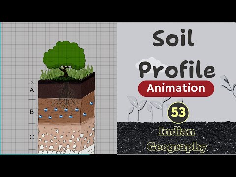 Soil Profile and Soil Horizons Animation | Indian Geography L- 53 | by Ravi Yadav Sir