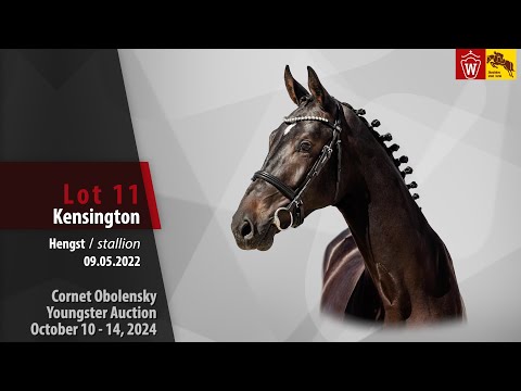 Youngster-Auktion Lot 11 Kensington Hengst v. Kannan - Attacke UA