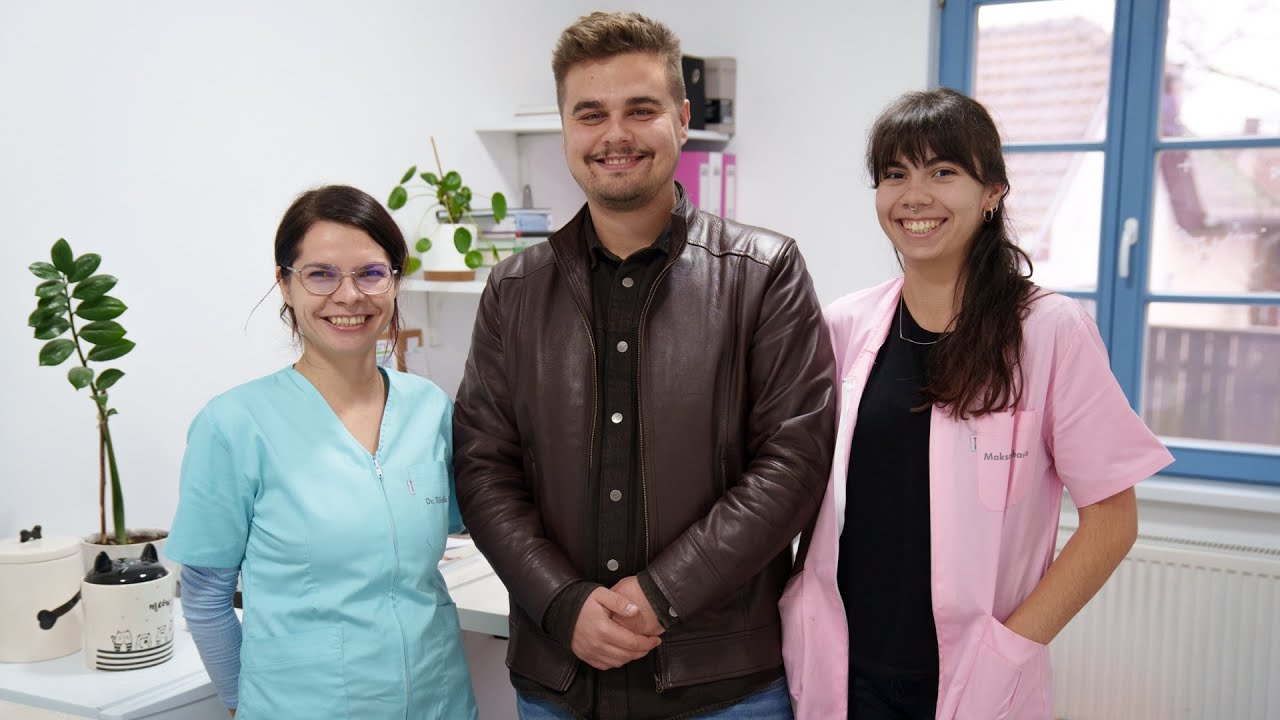 Szívvel-lélekkel dolgoznak azokért az állatokért, amelyeket cserben hagytak