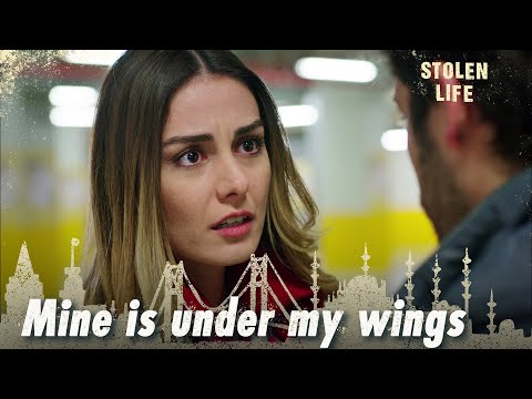 Mine is under my wings - Stolen Life | Short Scenes