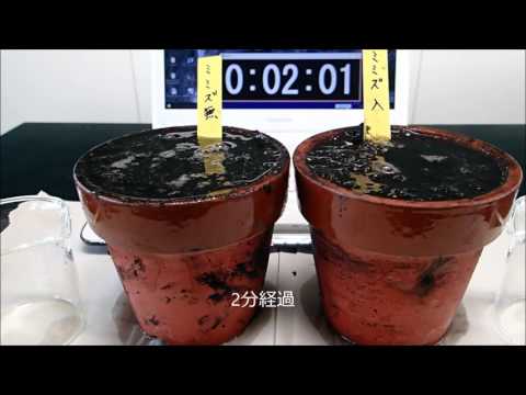 分解者について詳しく解説