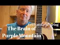 The Brain of Purple Mountain - Leo Kottke 12 string guitar