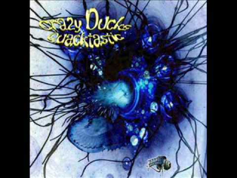 Crazy Ducks - Funkadelic Disco