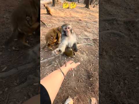 مقطع فيديو قصير #اكسبلور #quran