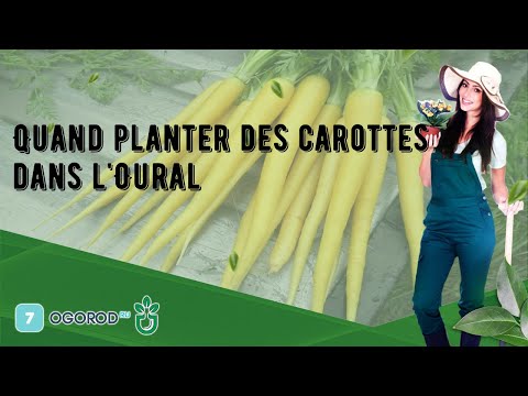 , title : 'Quand planter des carottes dans l'Oural'