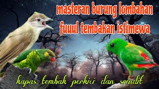 Download lagu Fuuul tembakan istimewa 🔥🔥 perkici kapas tembak dan srindit mp3 Download lagu Fuuul tembakan istimewa 🔥🔥 perkici kapas tembak dan srindit mp3