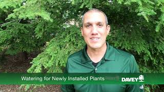 Watering For Newly Installed Plants