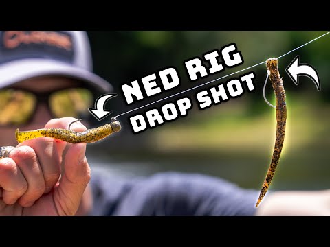 Is This Finesse Rig CHEATING? (Drop Shot-Ned Rig Combo)