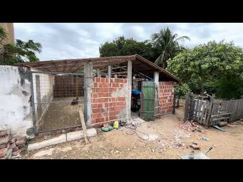 Atualização da OBRA 🚧 inciando a cobertura