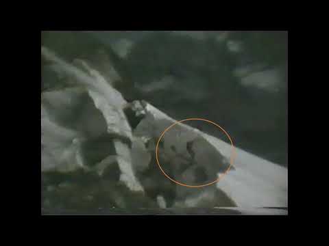 Caduta in Crepaccio - Sci estremo Valmalenco - Bianco Lenatti